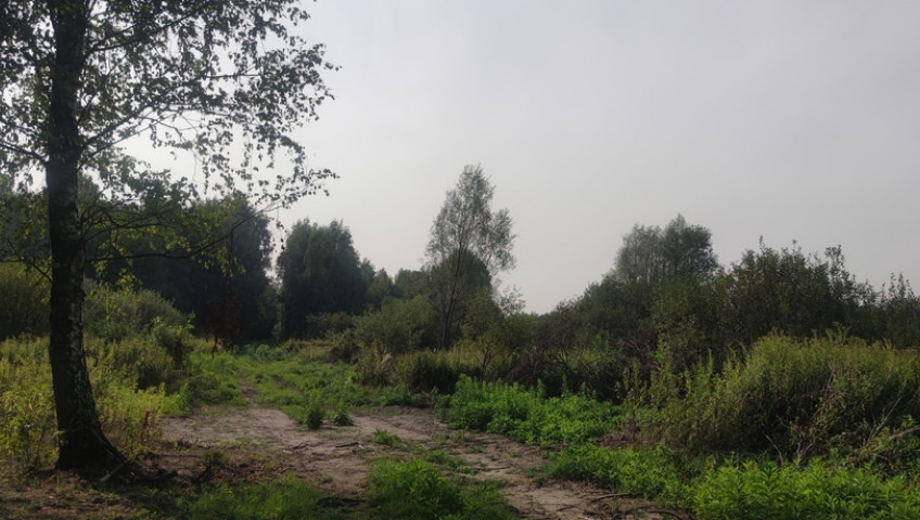 Działka Sprzedaż Borzęcin Duży Spacerowa